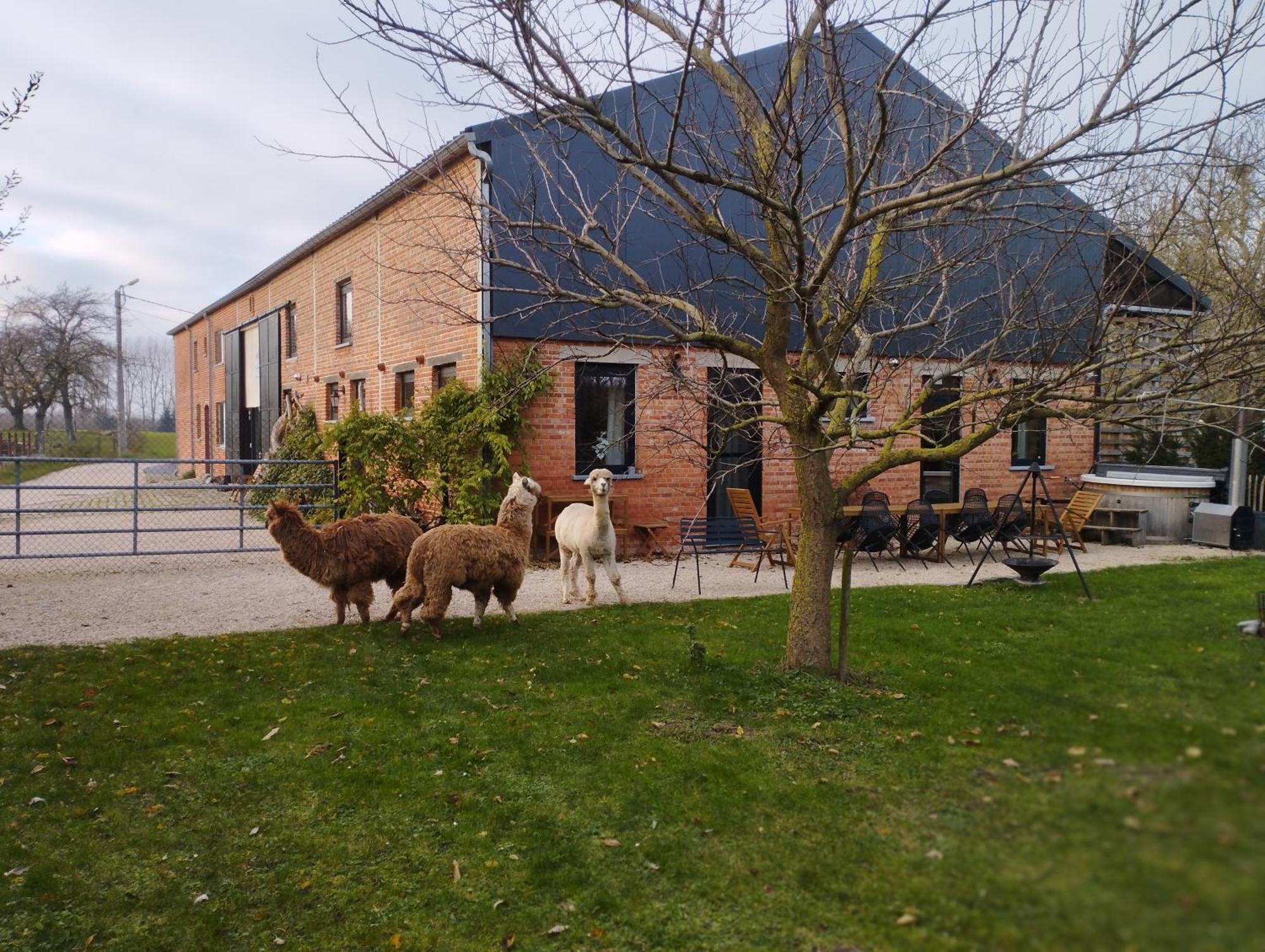 De Smishoeve Met Kinderpret, Dieren En Wellness Heers Экстерьер фото