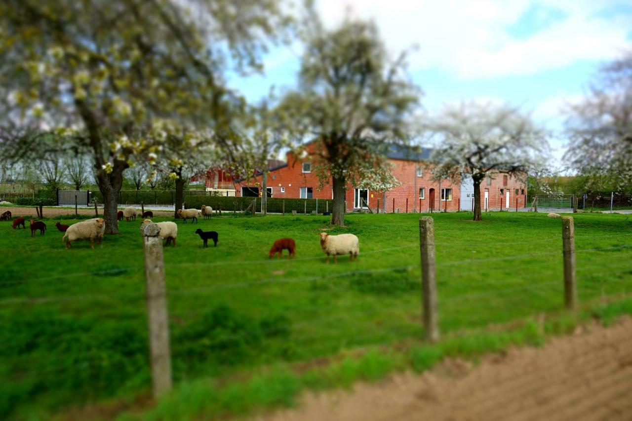 De Smishoeve Met Kinderpret, Dieren En Wellness Heers Экстерьер фото